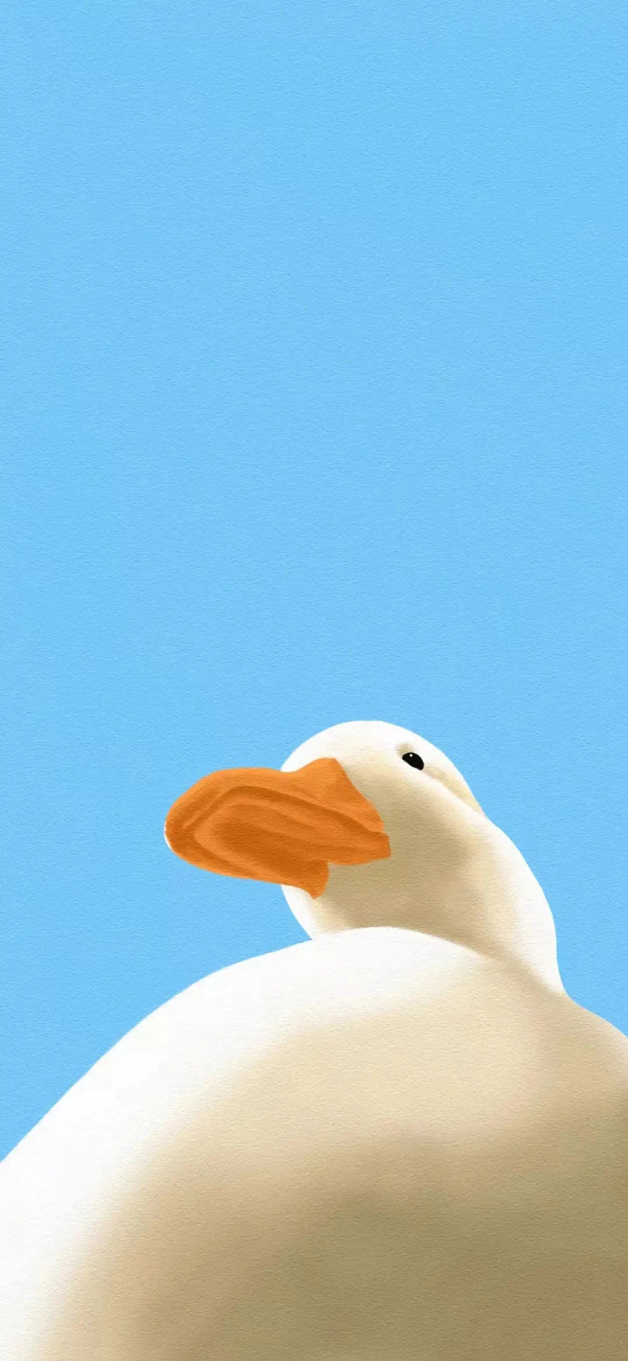 柯尔鸭