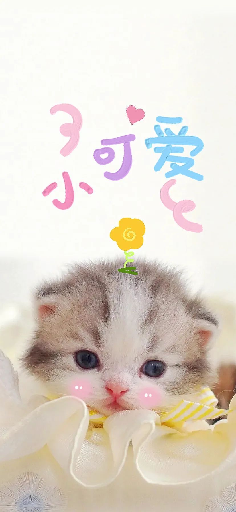 小可愛