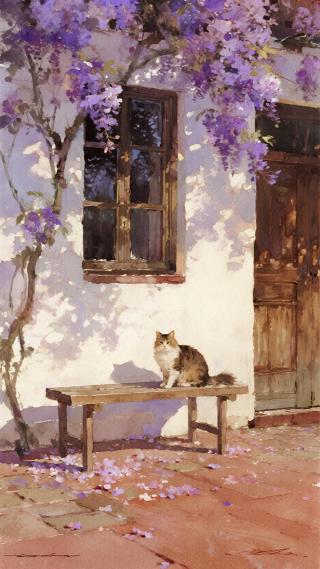 猫猫
