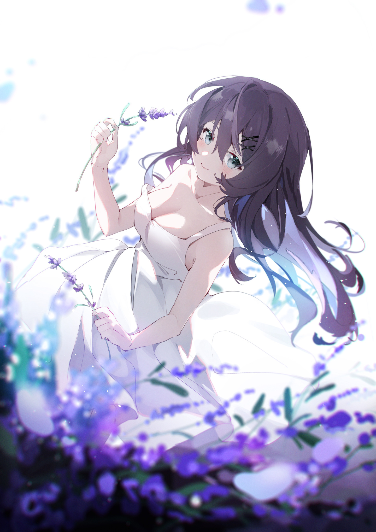薰衣草