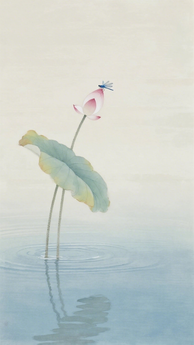 蜻蜓