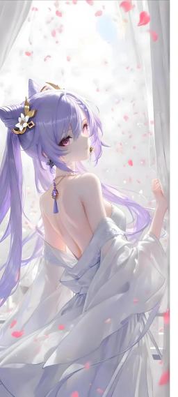 银子‖原神壁纸 紫