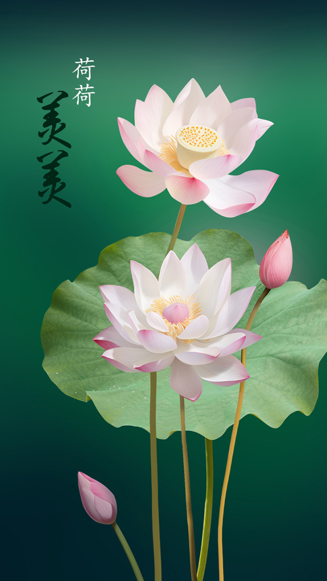 和和美美