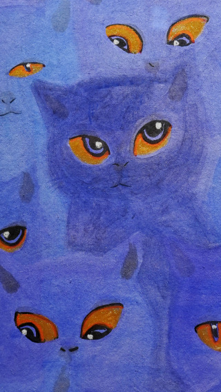 有点点blue的蓝色小猫们