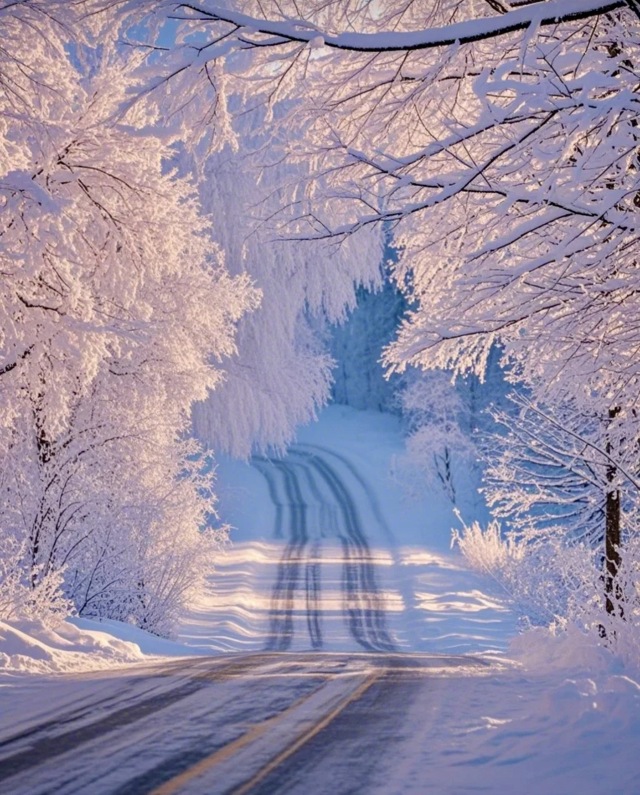 雪景