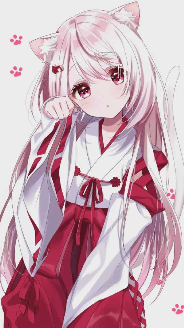 二次元