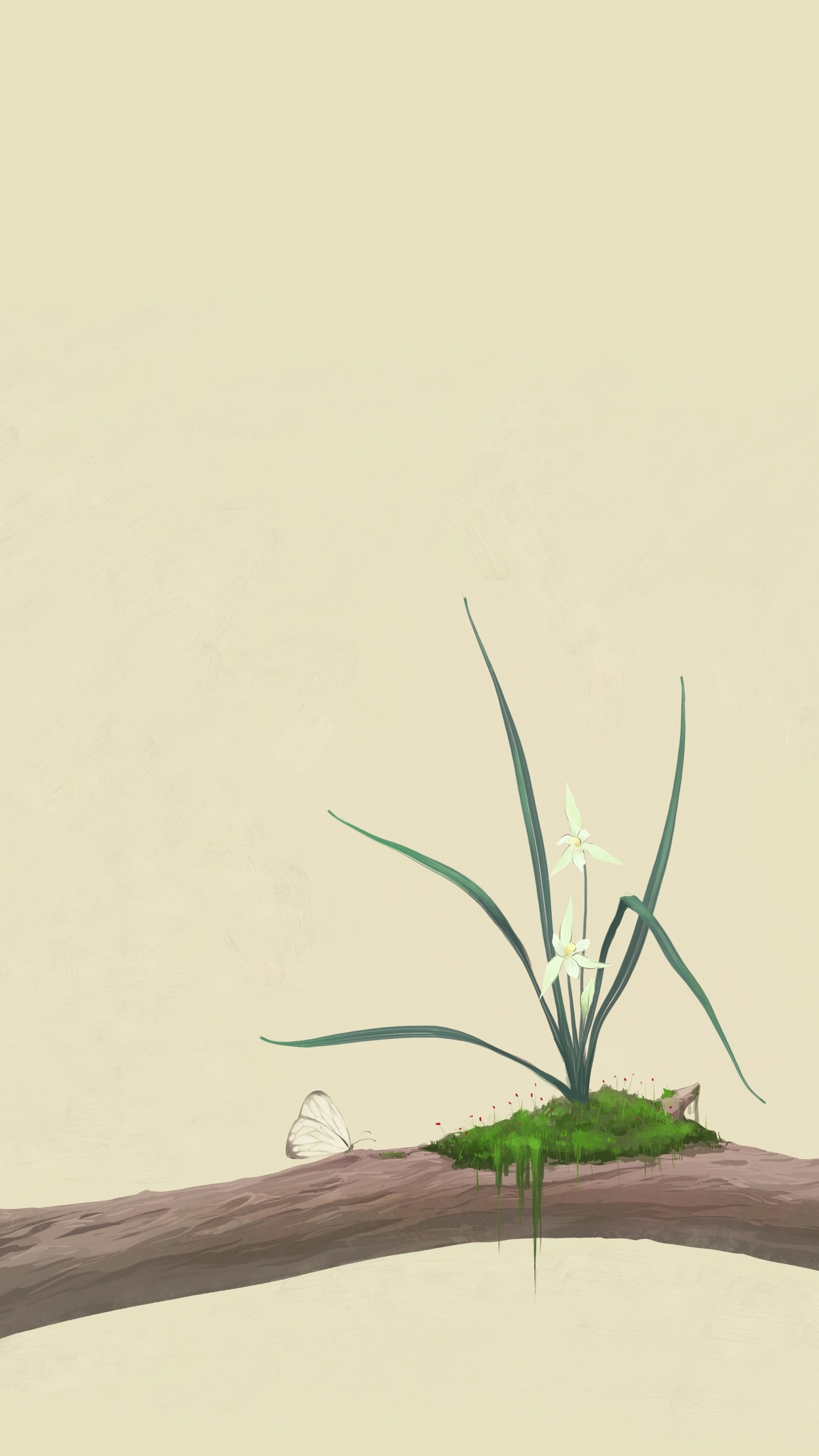 蘭花蝶