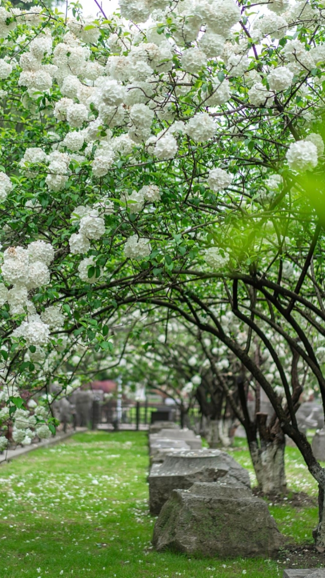 風景