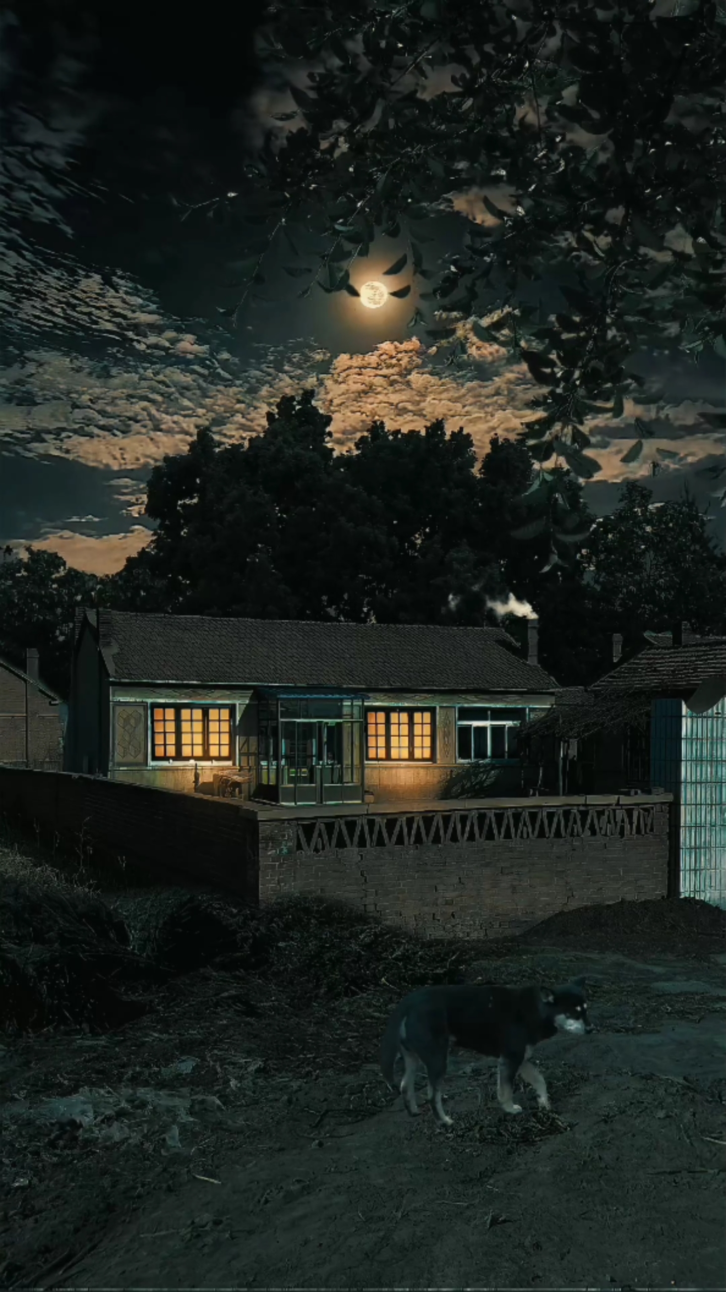 農村夜景①