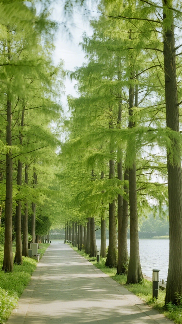 绿树