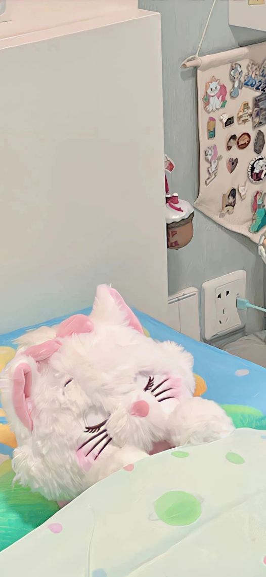 小猫