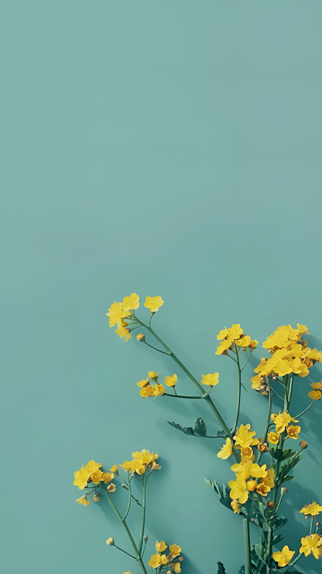 绿色护眼清新小黄花