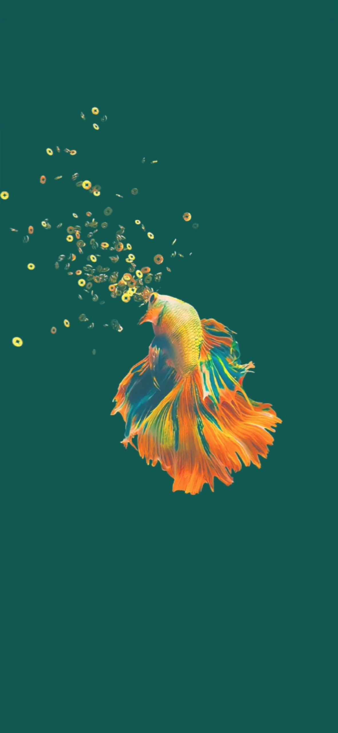 發財魚4k