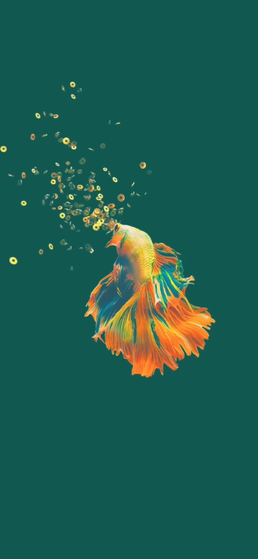 發財魚4k