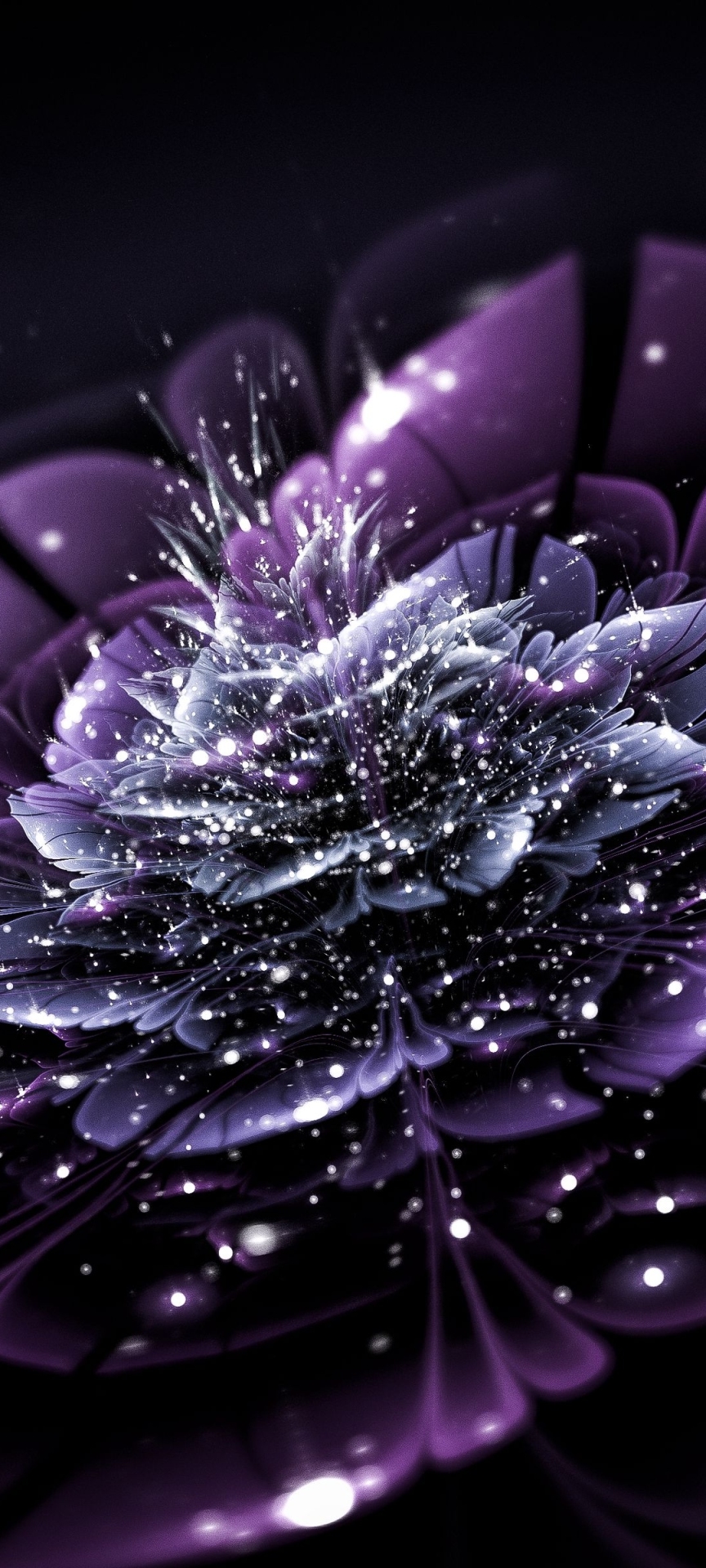 不一樣的花朵