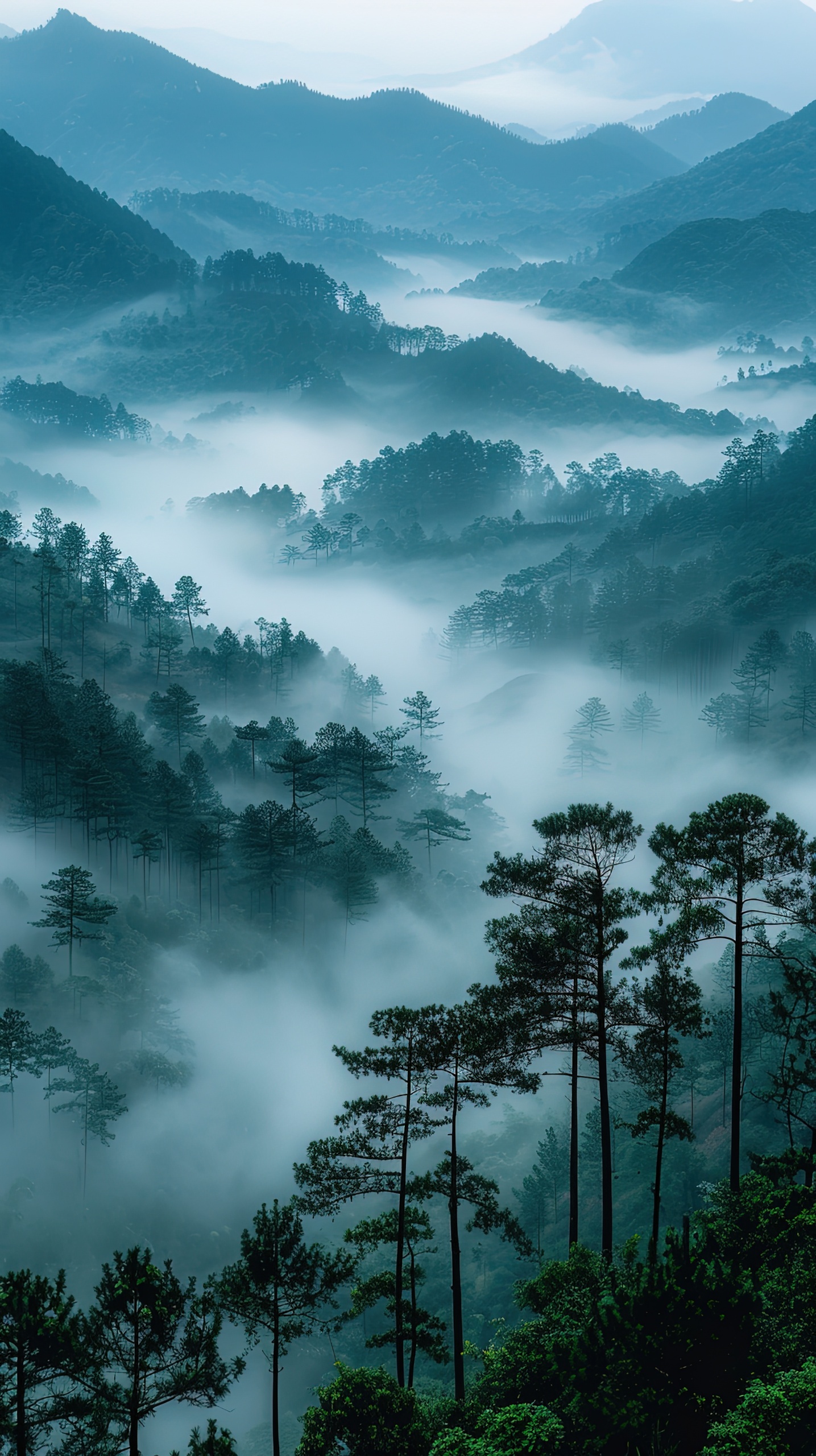 迷霧山林風光