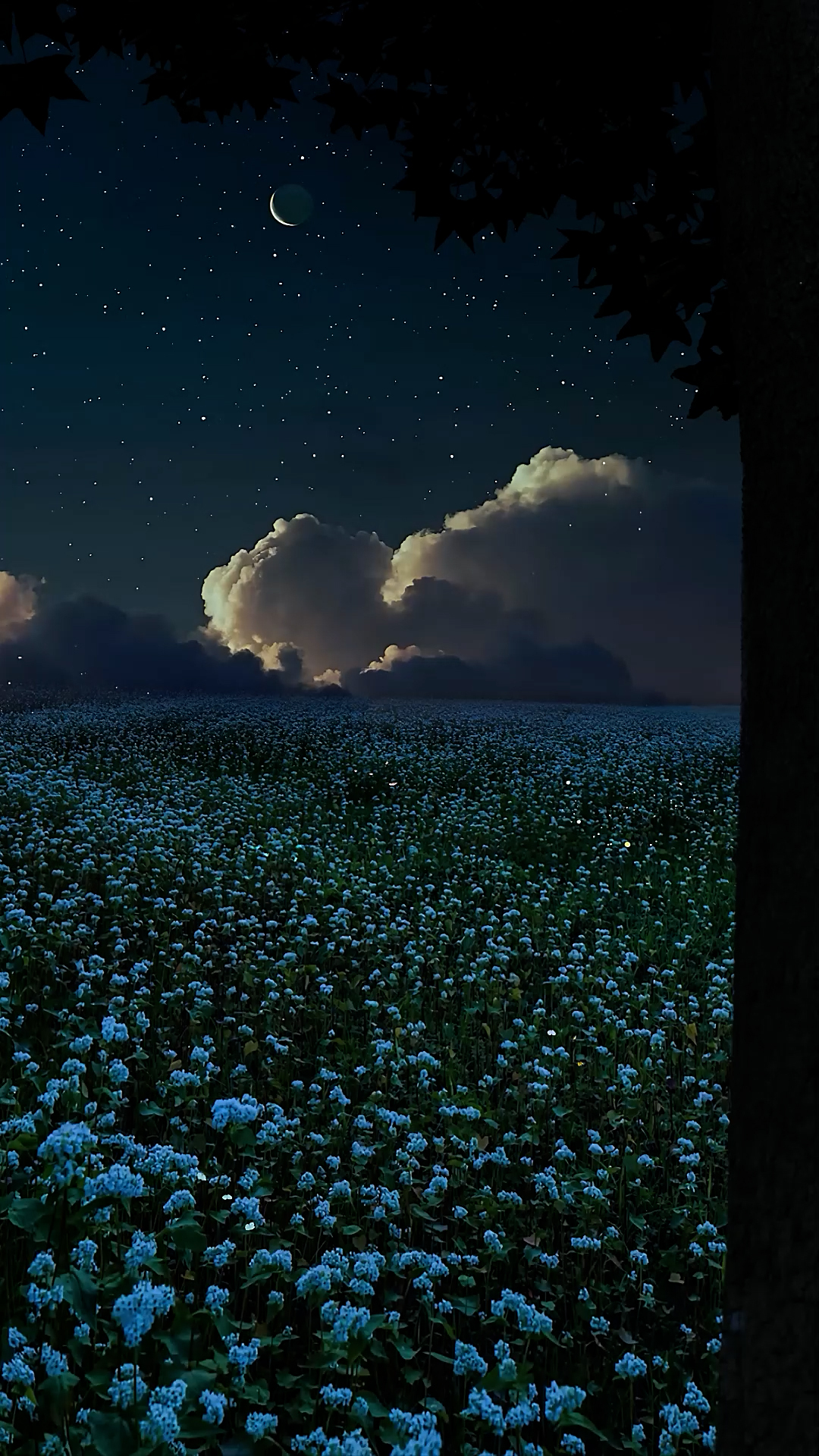 夜晚星空壁紙