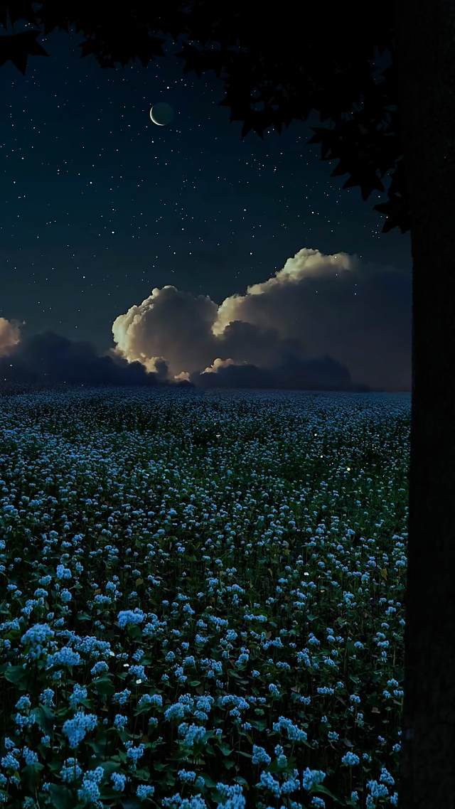 夜晚星空壁紙