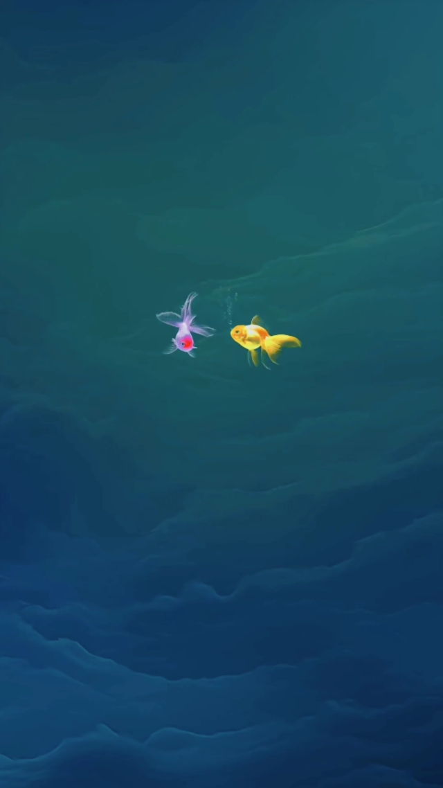 治愈系小金魚