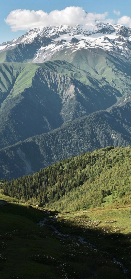 山上风景