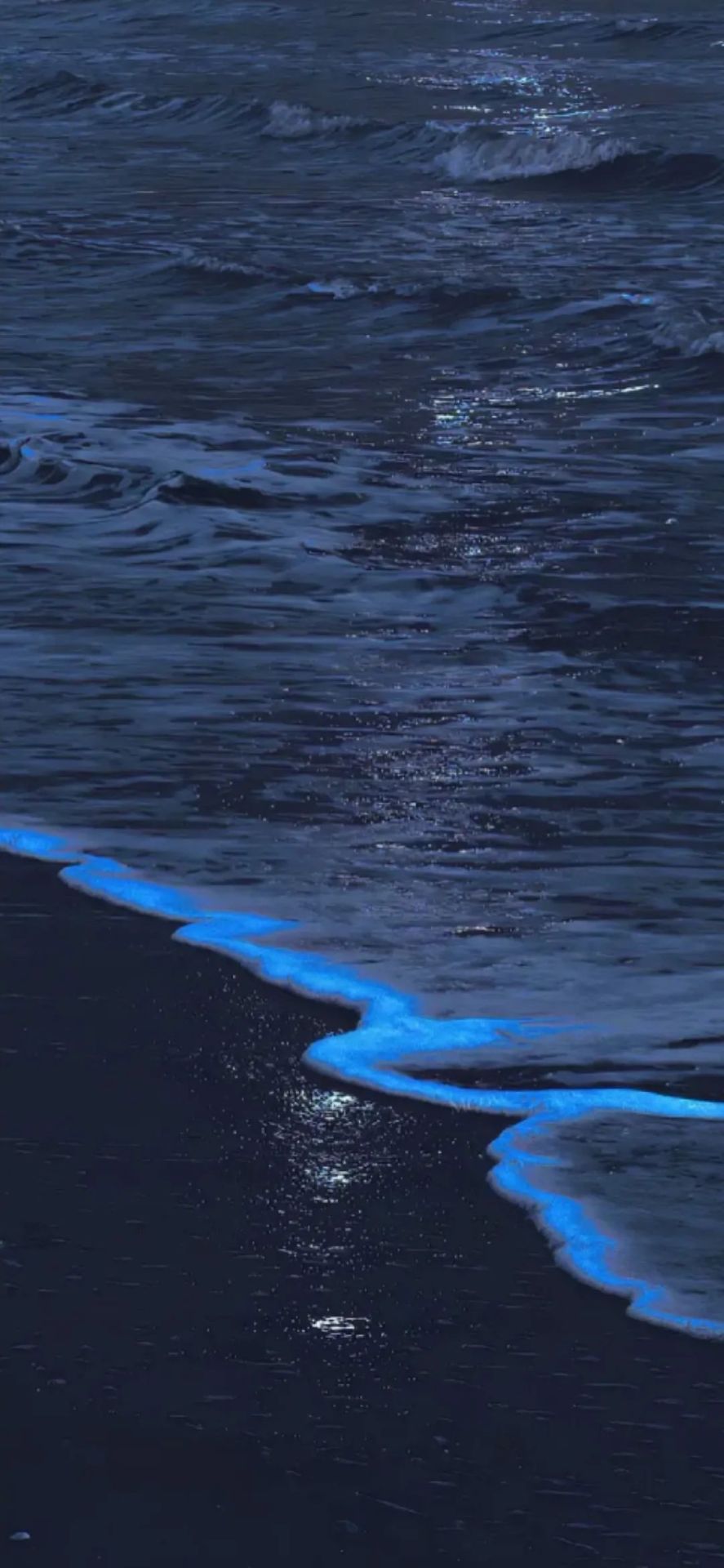 海