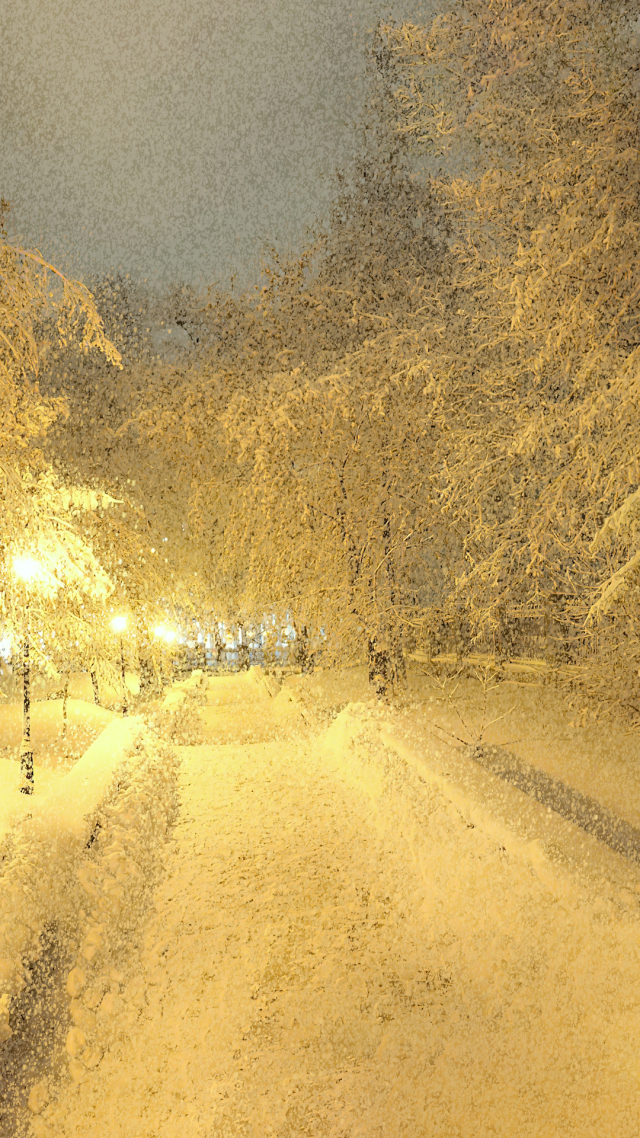 治愈雪景
