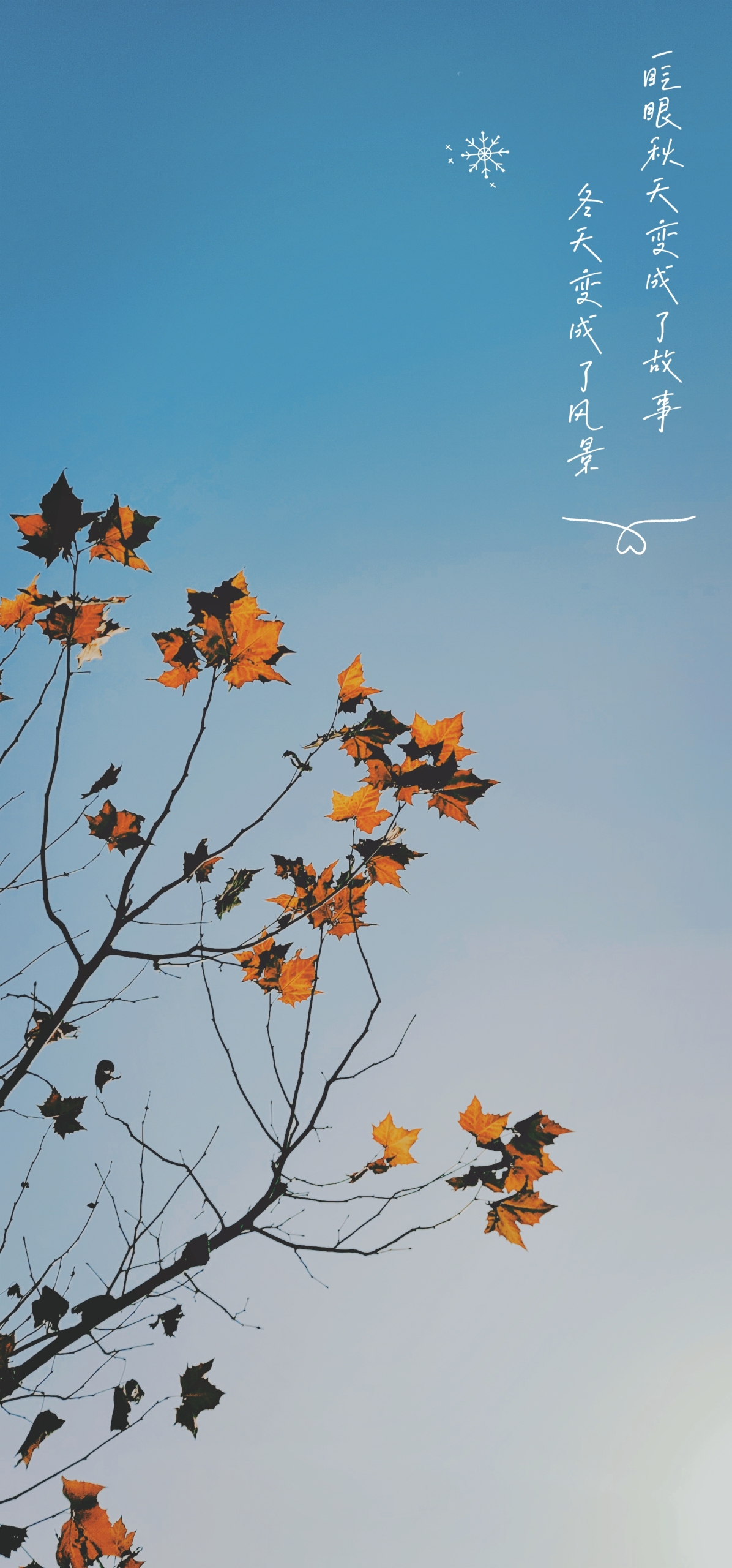 秋