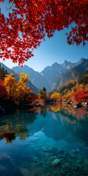 秋水共长天，枫染山湖