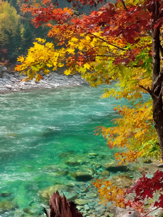 五颜六色那个秋