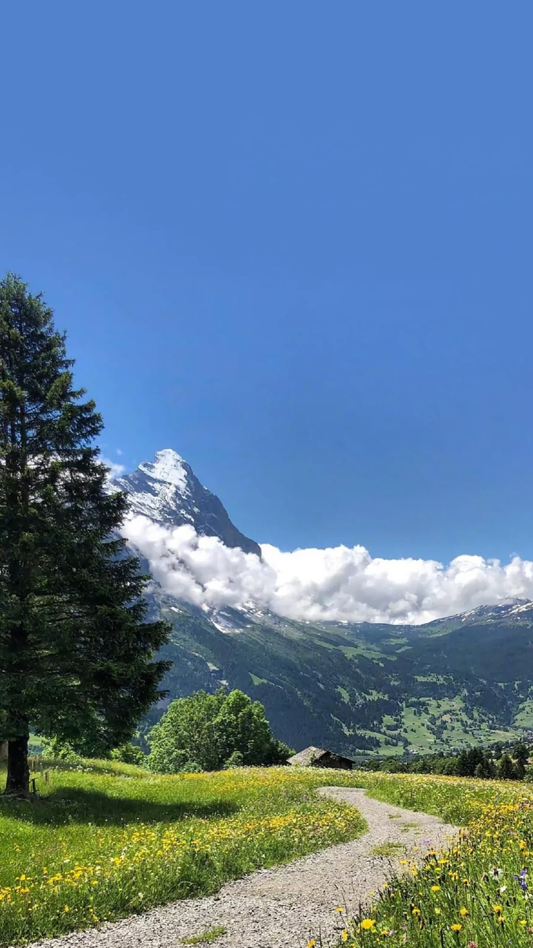 眺望微信聊天背景