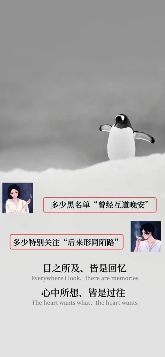 全面屏手機壁紙回憶