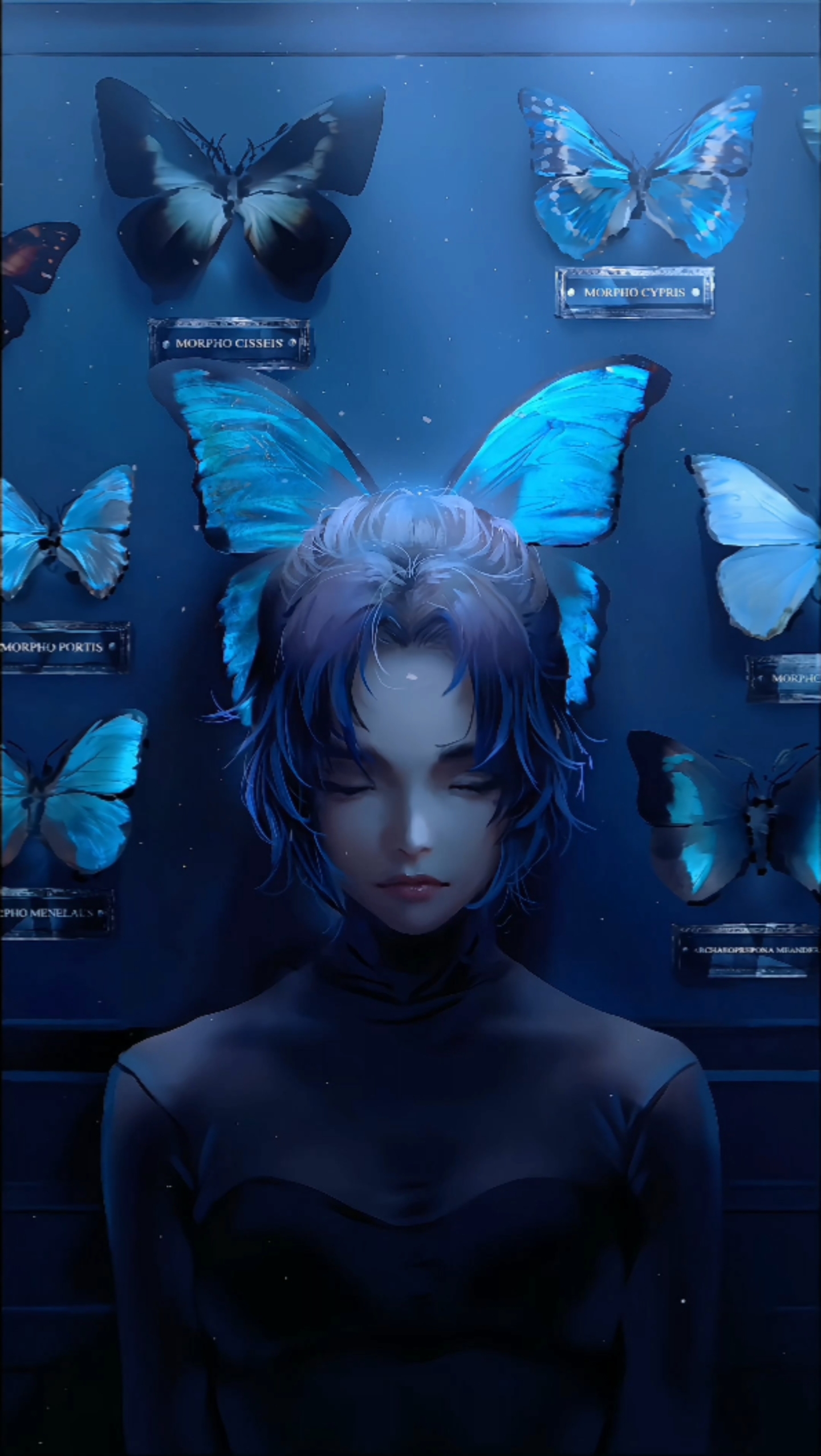 蝴蝶二次元美女