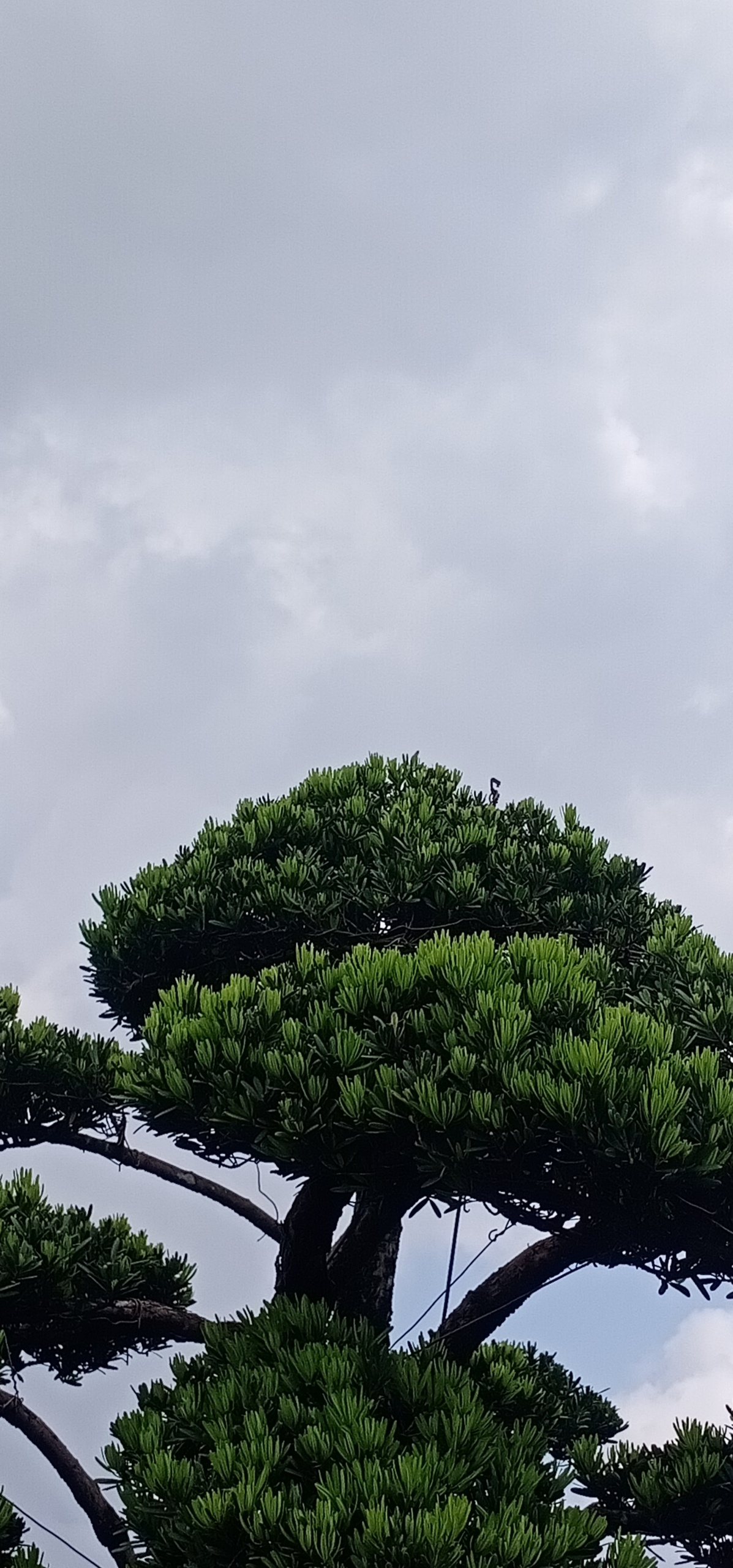 自然景观