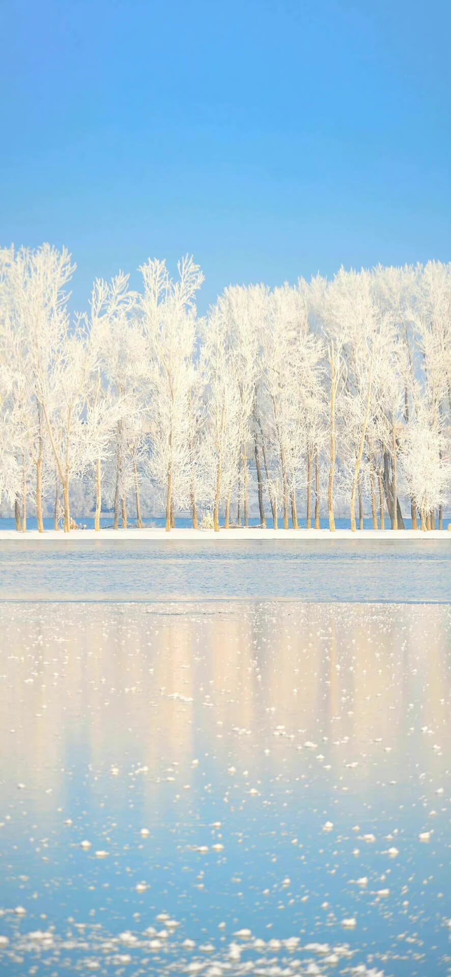雪色浪漫