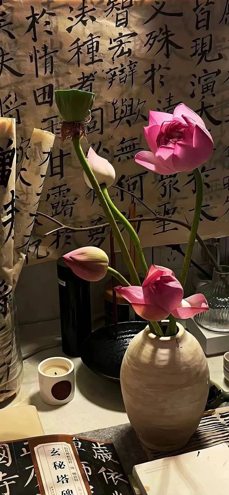 红色玫瑰花6