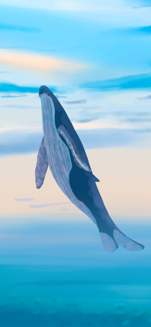 4K鯨魚出海 插畫