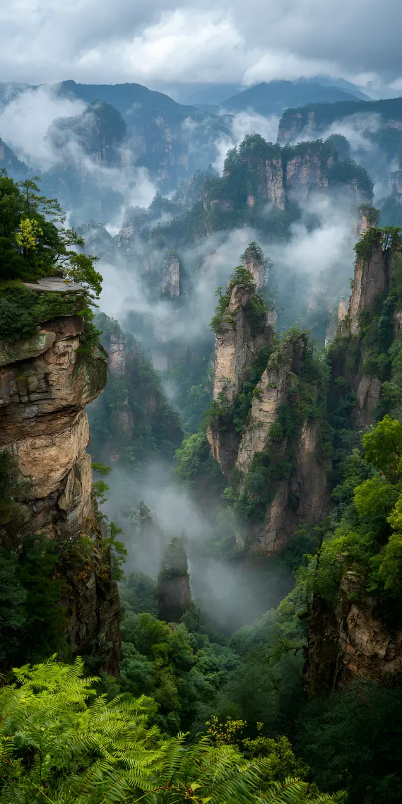 雲煙繚繞，仙境張家界