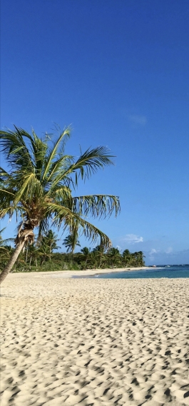 夏日海边