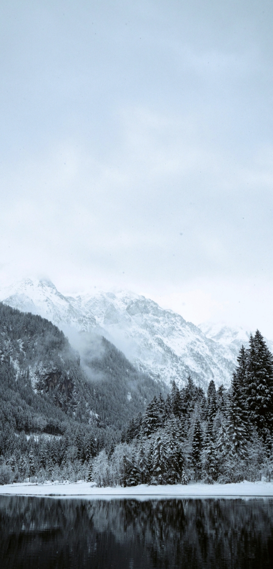 雪景