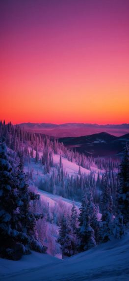 粉紫雪林的黄昏