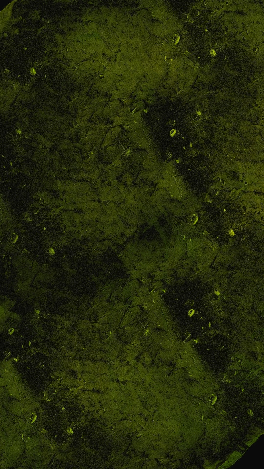 土色772