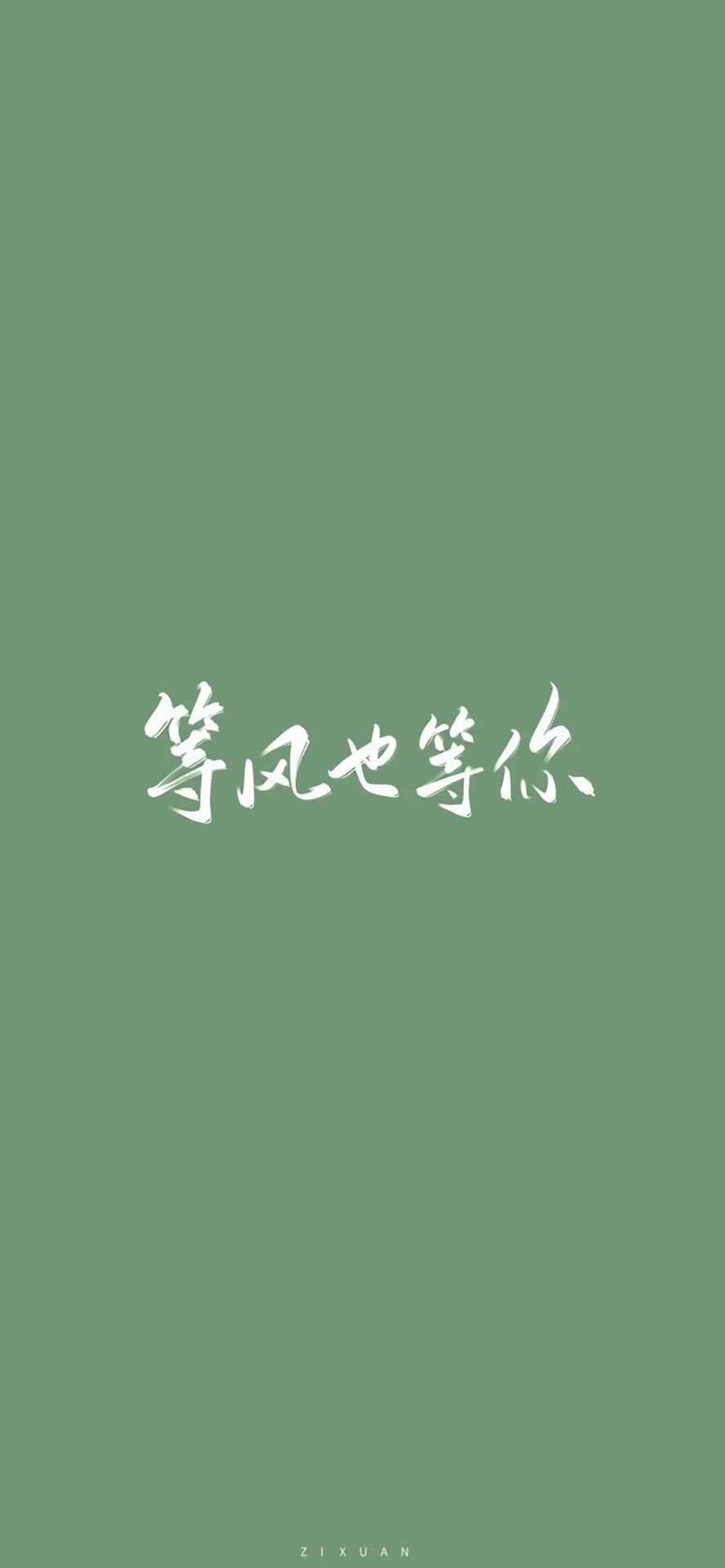 等风也等你