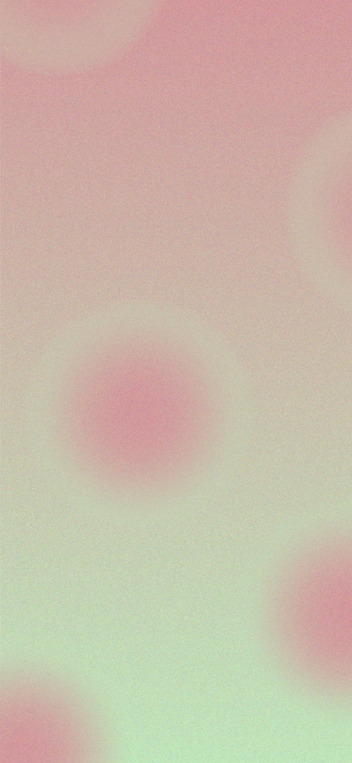 浪漫花日2