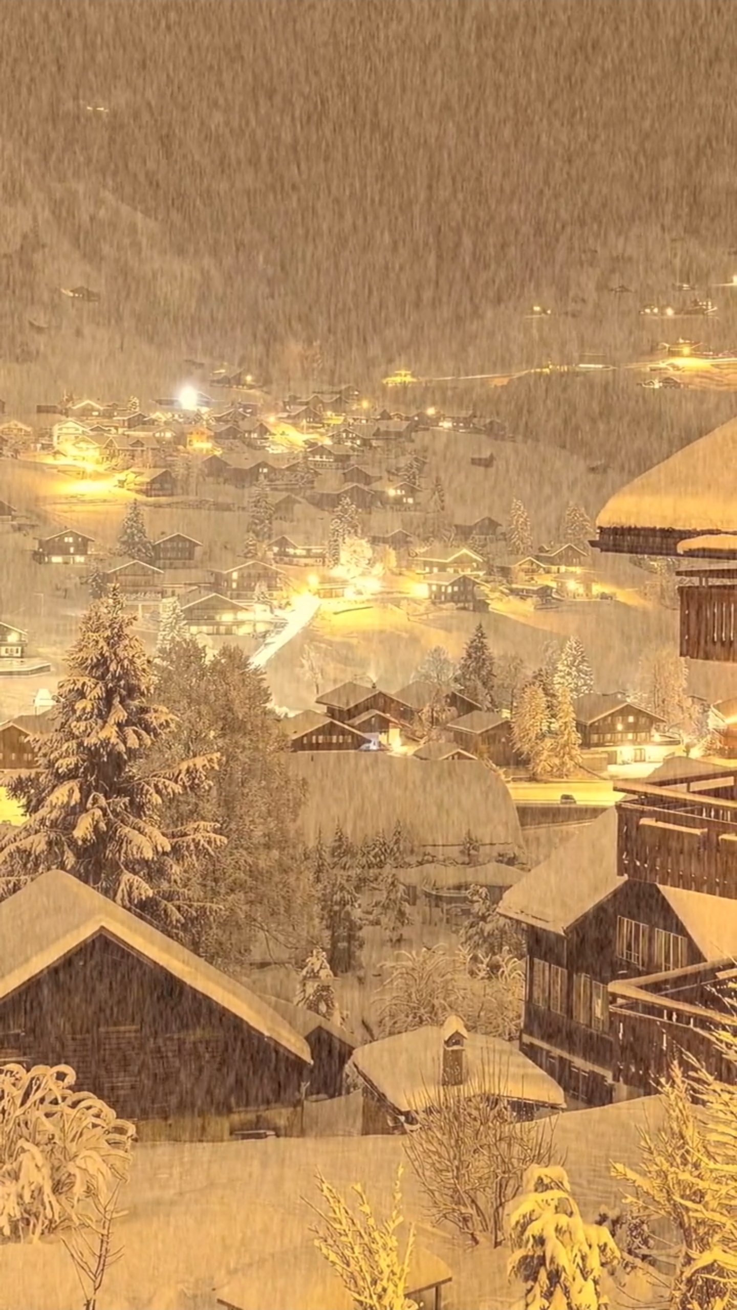 浪漫治愈雪景