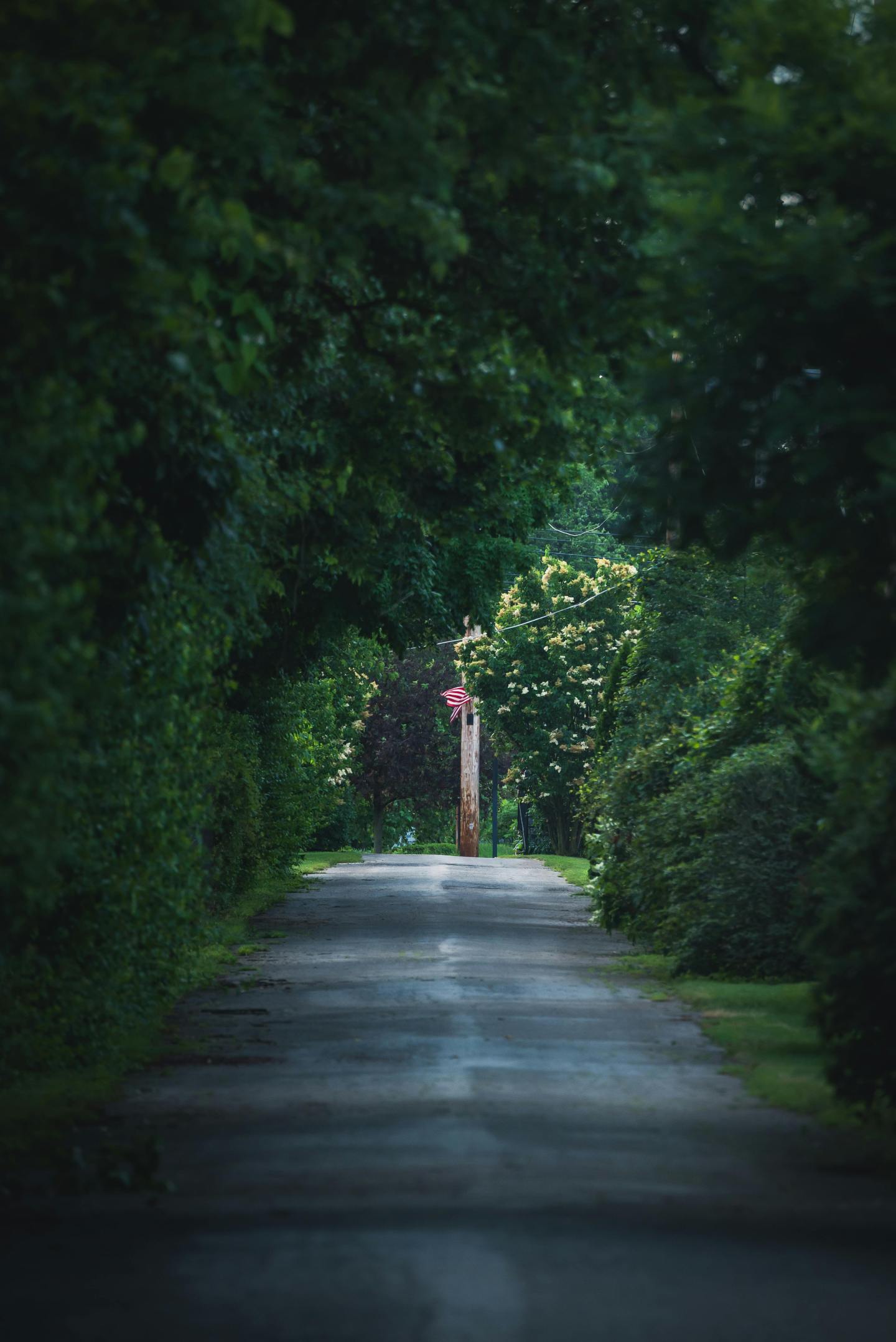 绿色清新自然护眼风景
