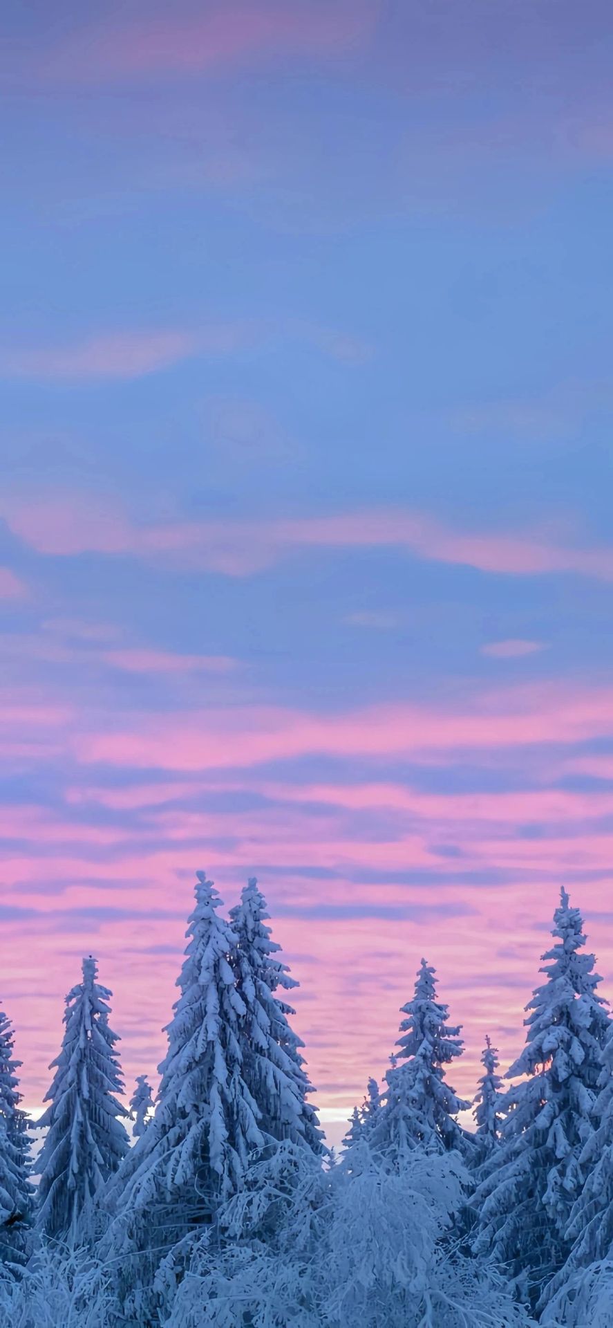 紅色的天空