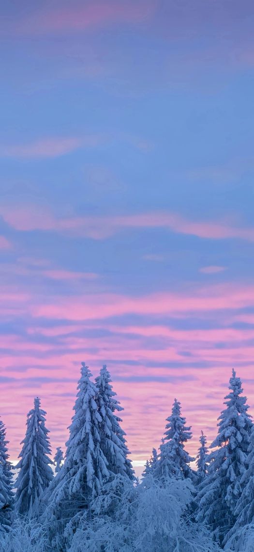 红色的天空