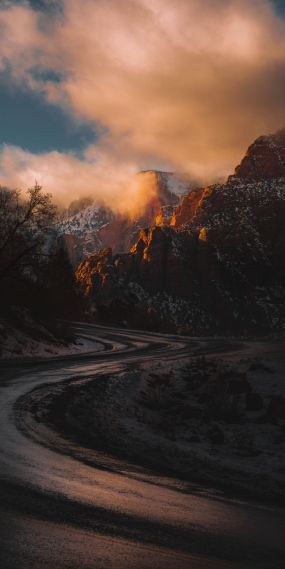 风景