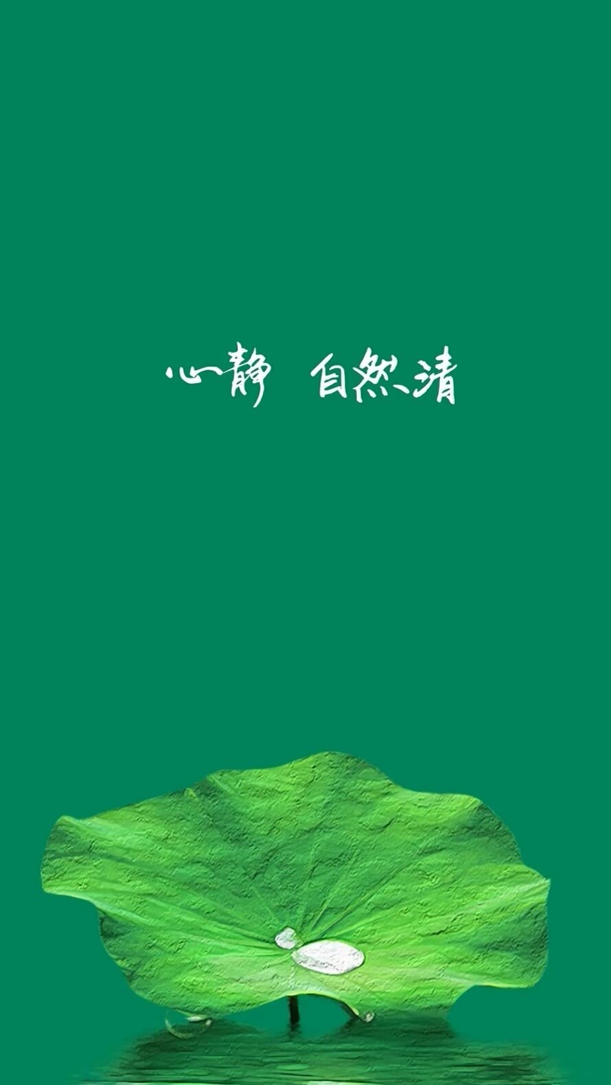 文字