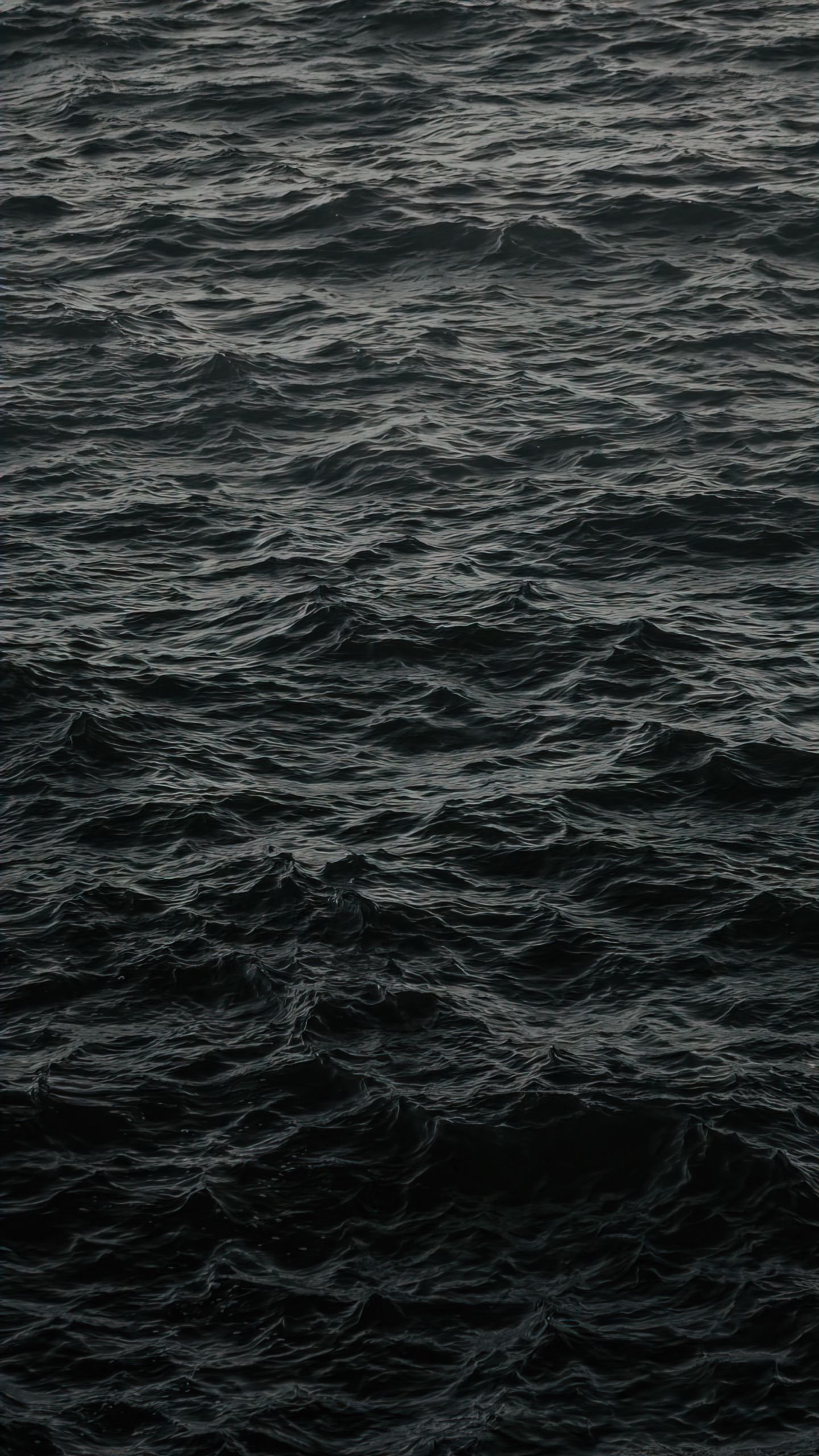 海